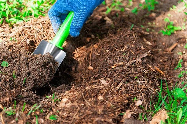 🍂 Using Mulch Effectively: A Gardener's Secret Weapon