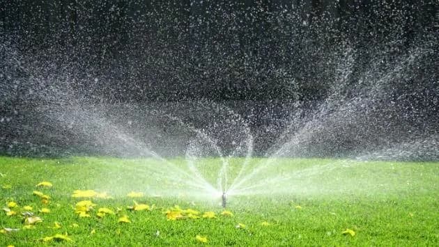 💧 Sustainable Irrigation Techniques: Saving Water Without Sacrificing Beauty