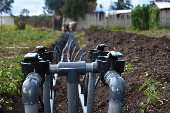 Drip Irrigation Kit