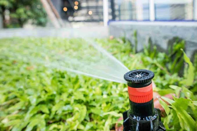 Sprinkler Head