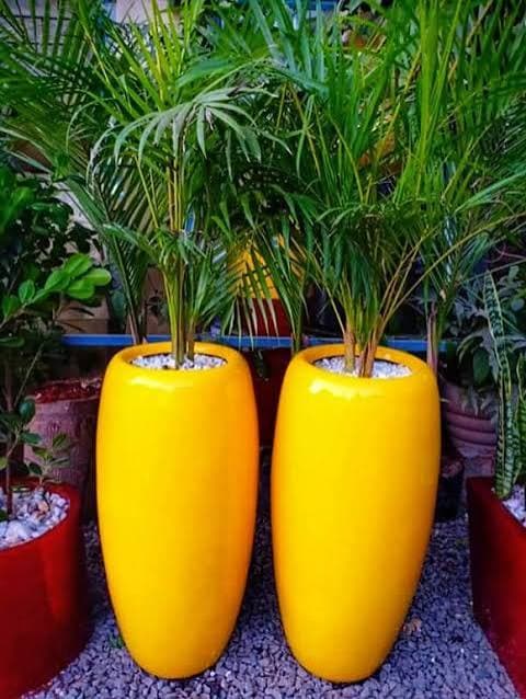 Fibreglass Pot
