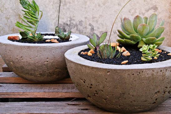 Concrete Planter