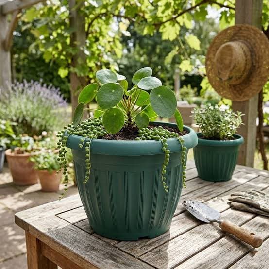 Plastic Pot