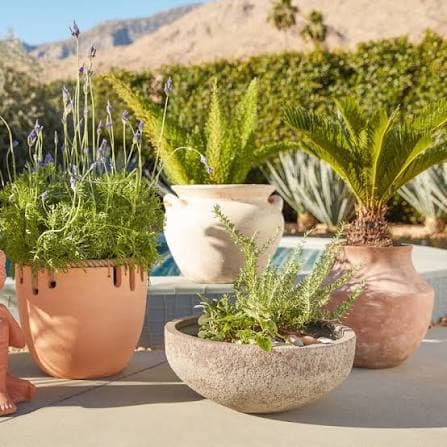 Terracotta Pot