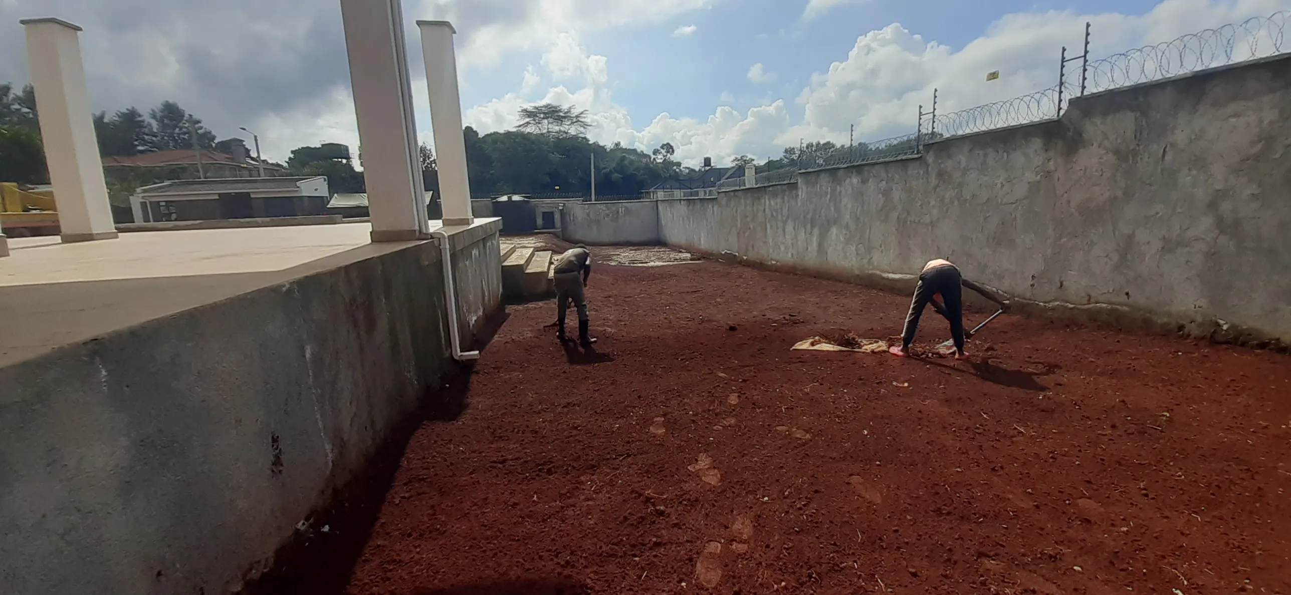 Grading and Lawn Installation
