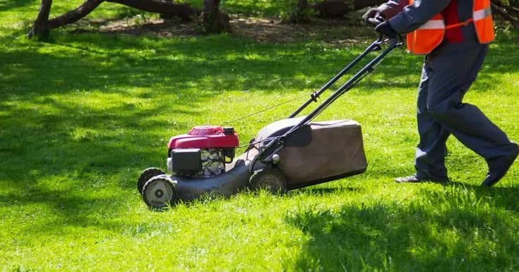 Landscape Maintenance